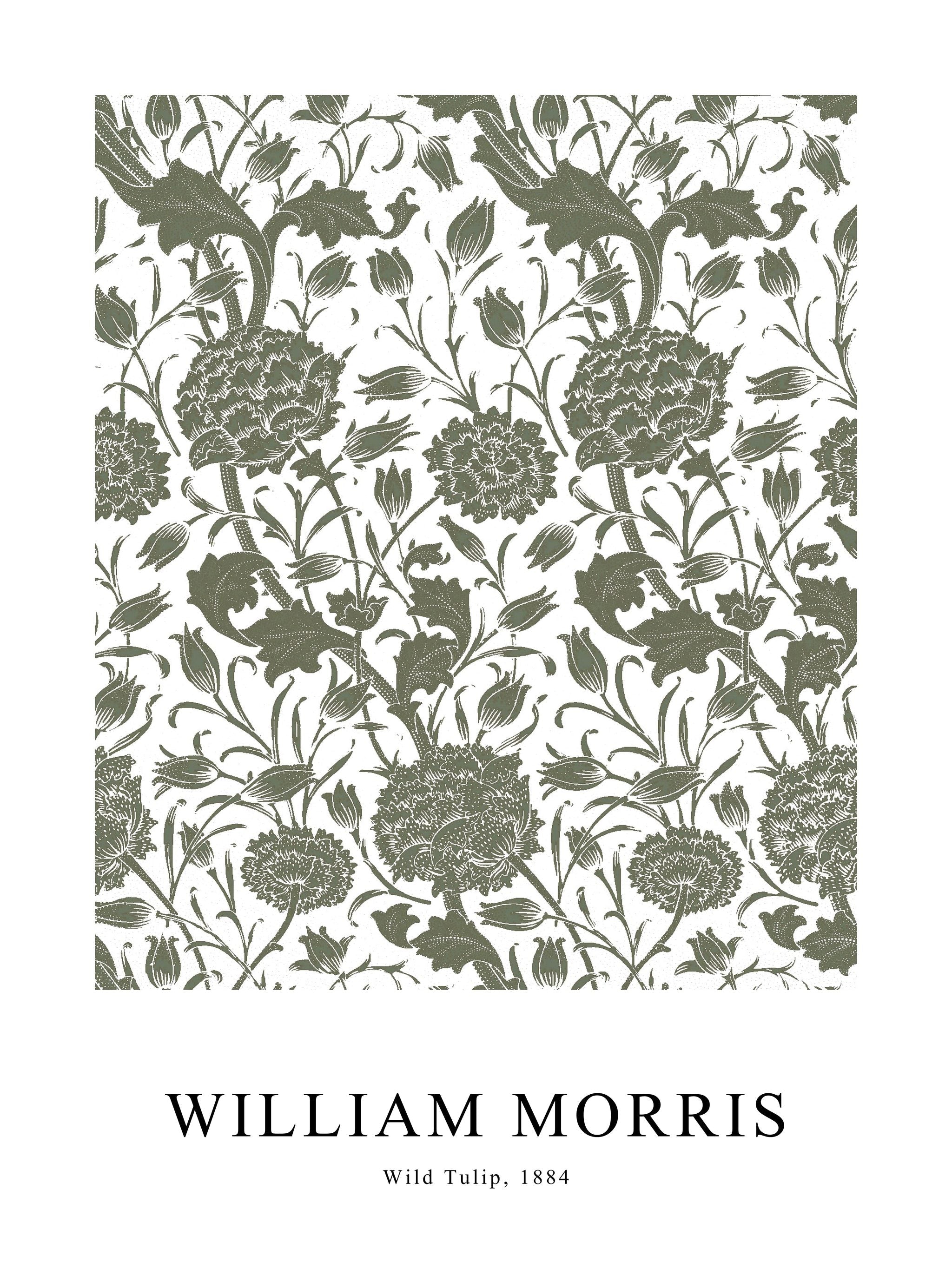 Wild Tulip Sage Green Poster