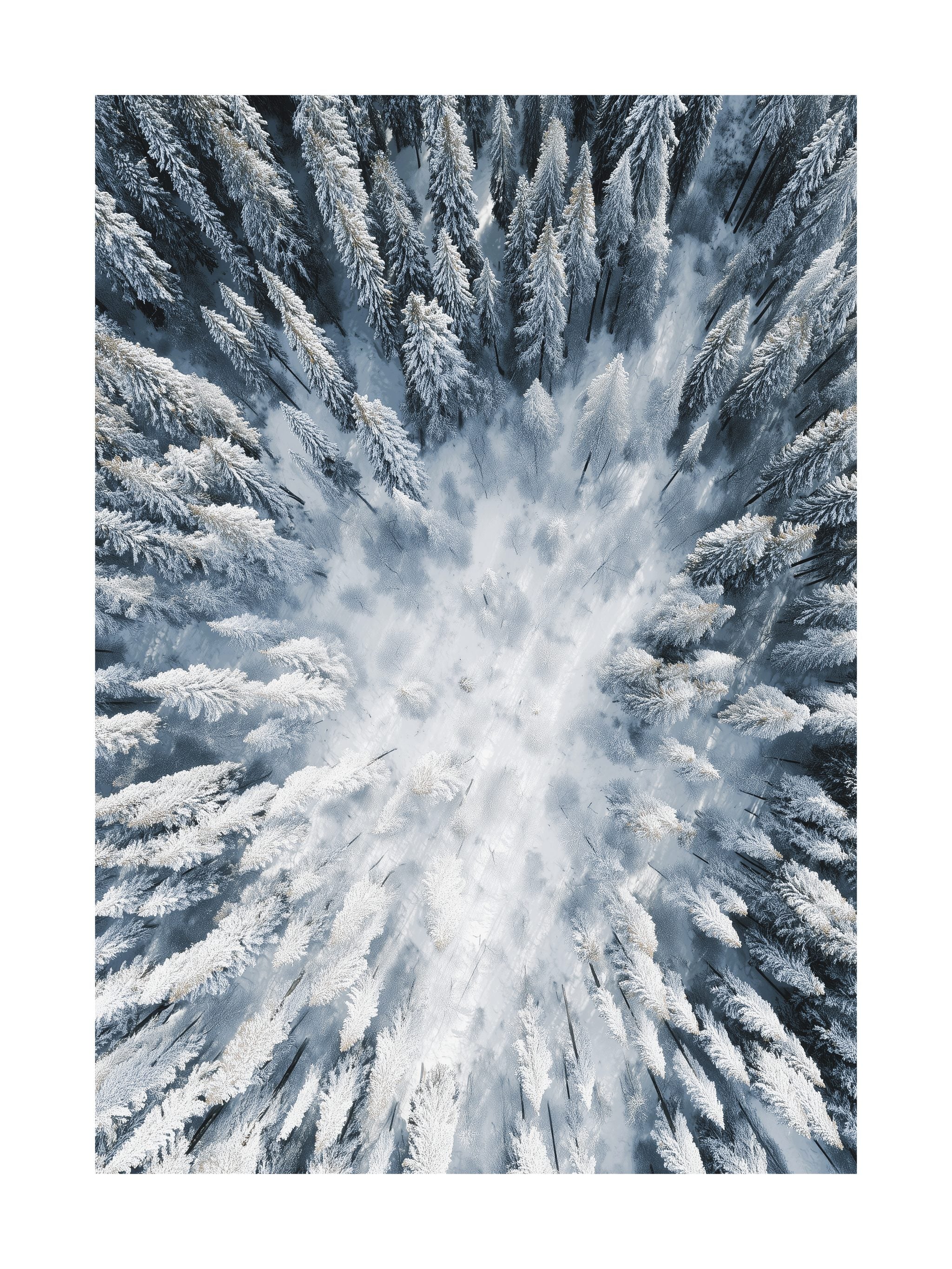 Snowy Forest Aerial Poster