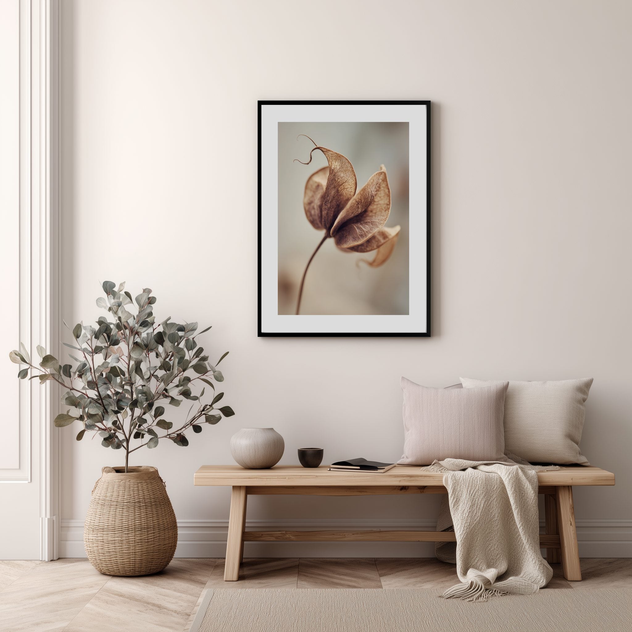 Dried Seed Pod Poster
