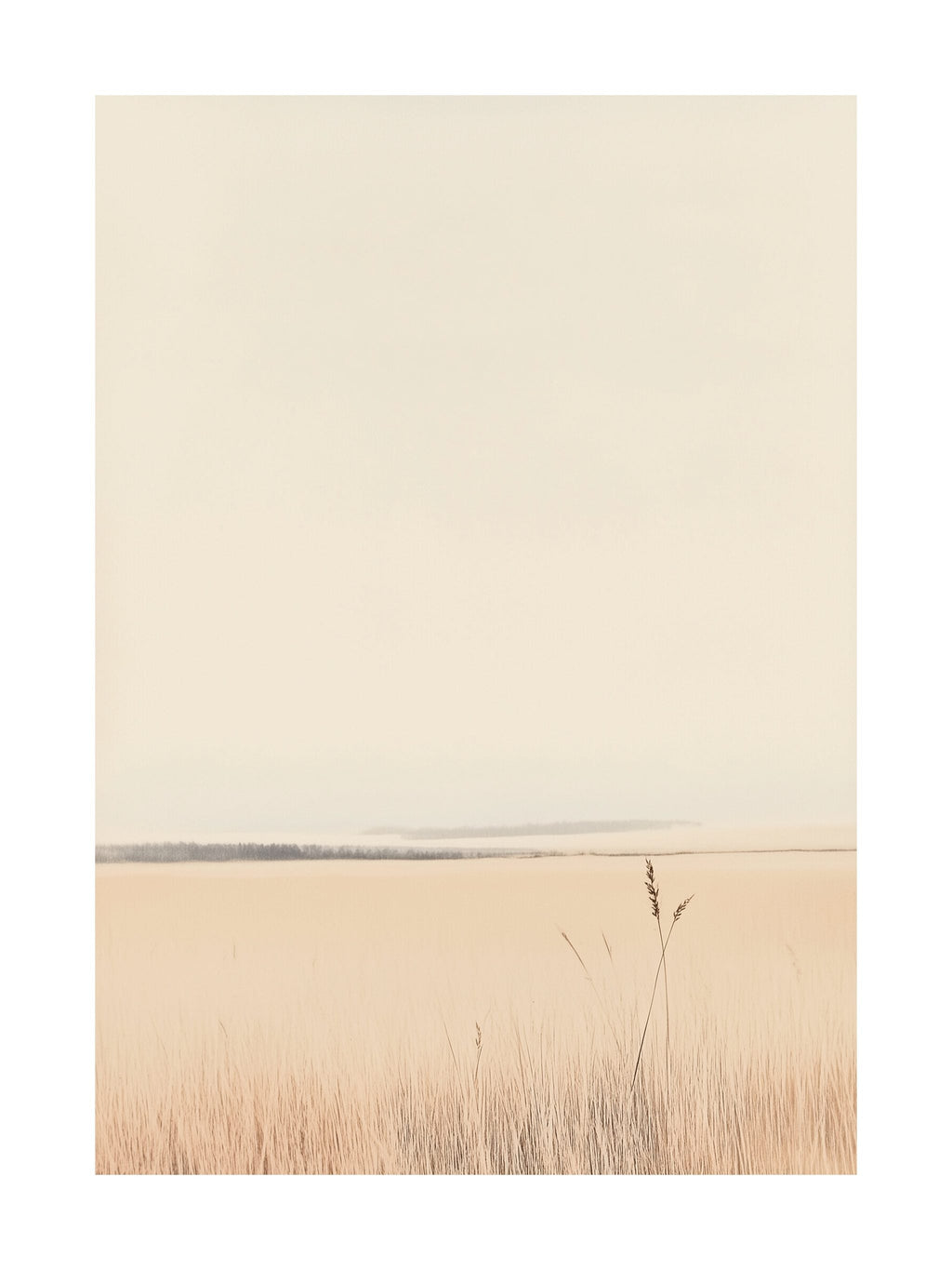 Calm Coastal Horizon Poster
