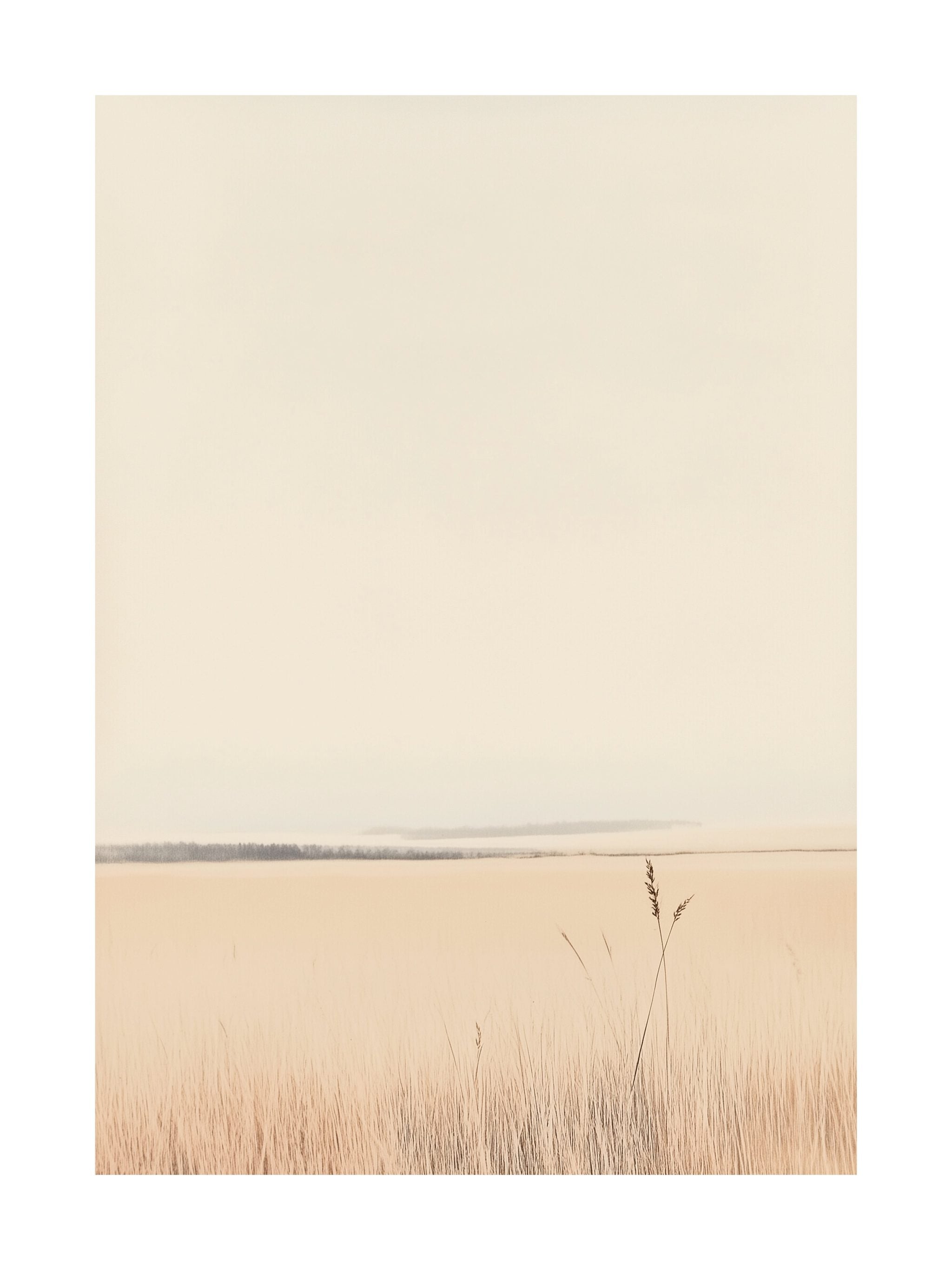 Calm Coastal Horizon Poster