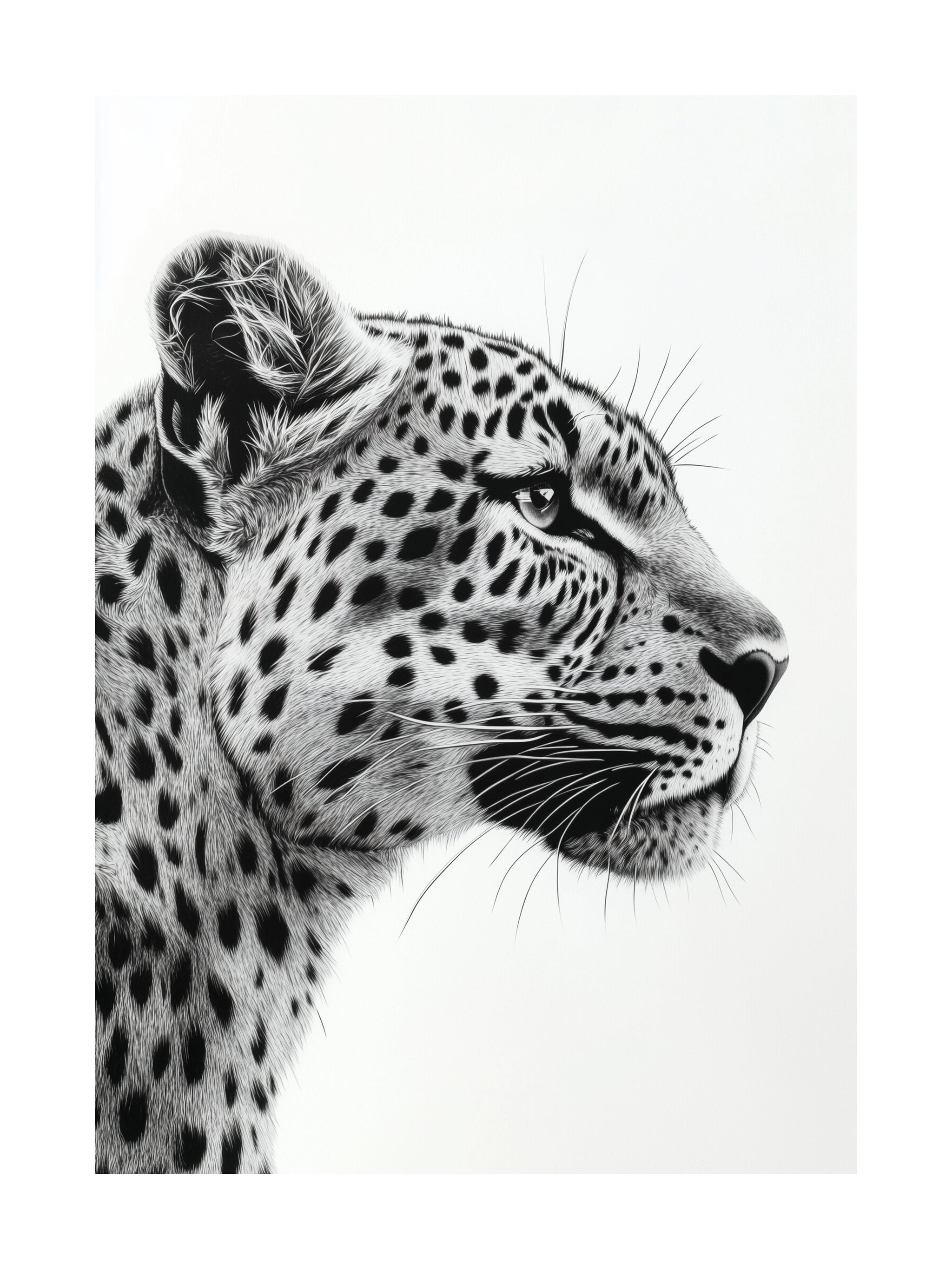 Leopard Profile Poster