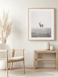 Lone Deer in Mist Poster