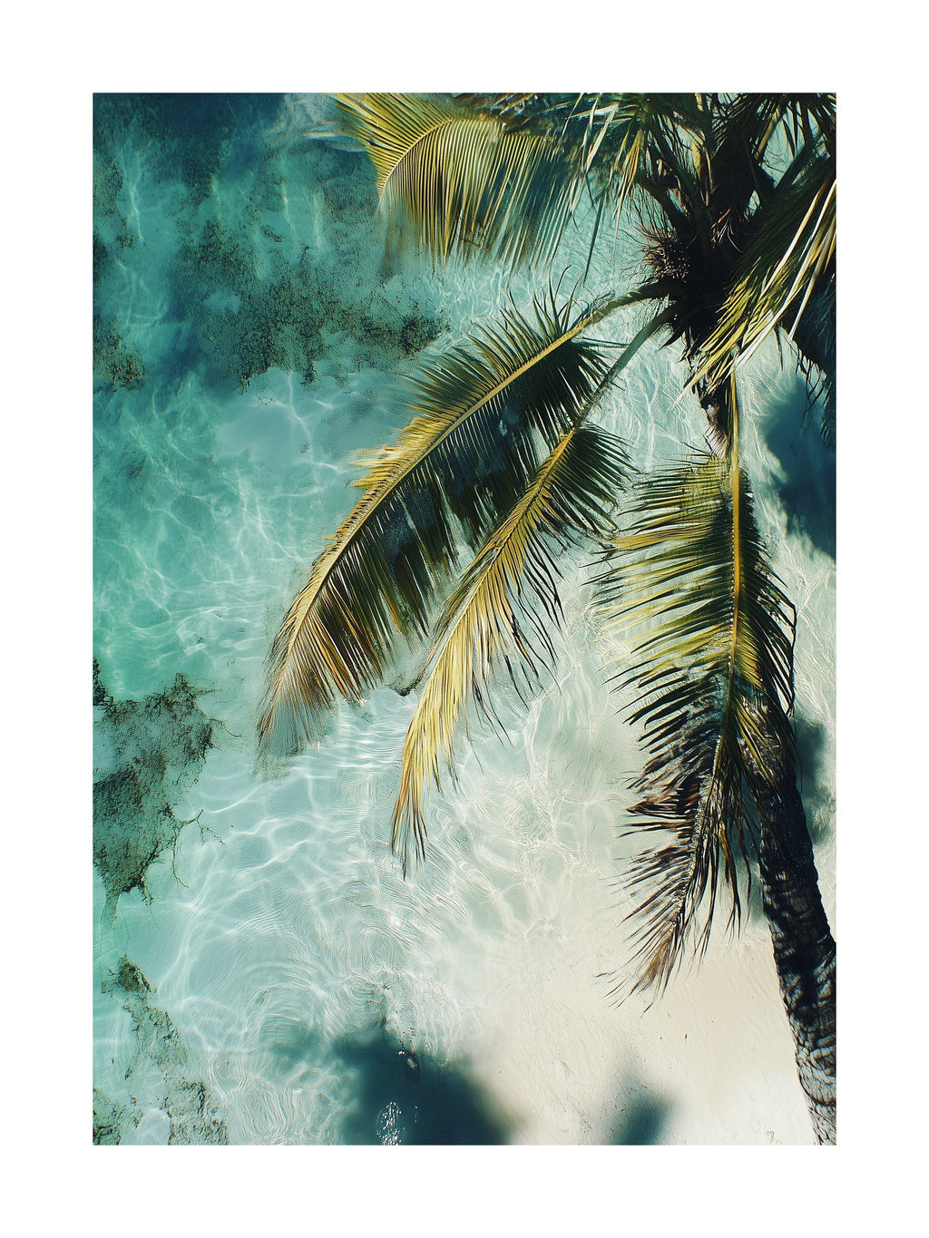 Tropical Drift Poster