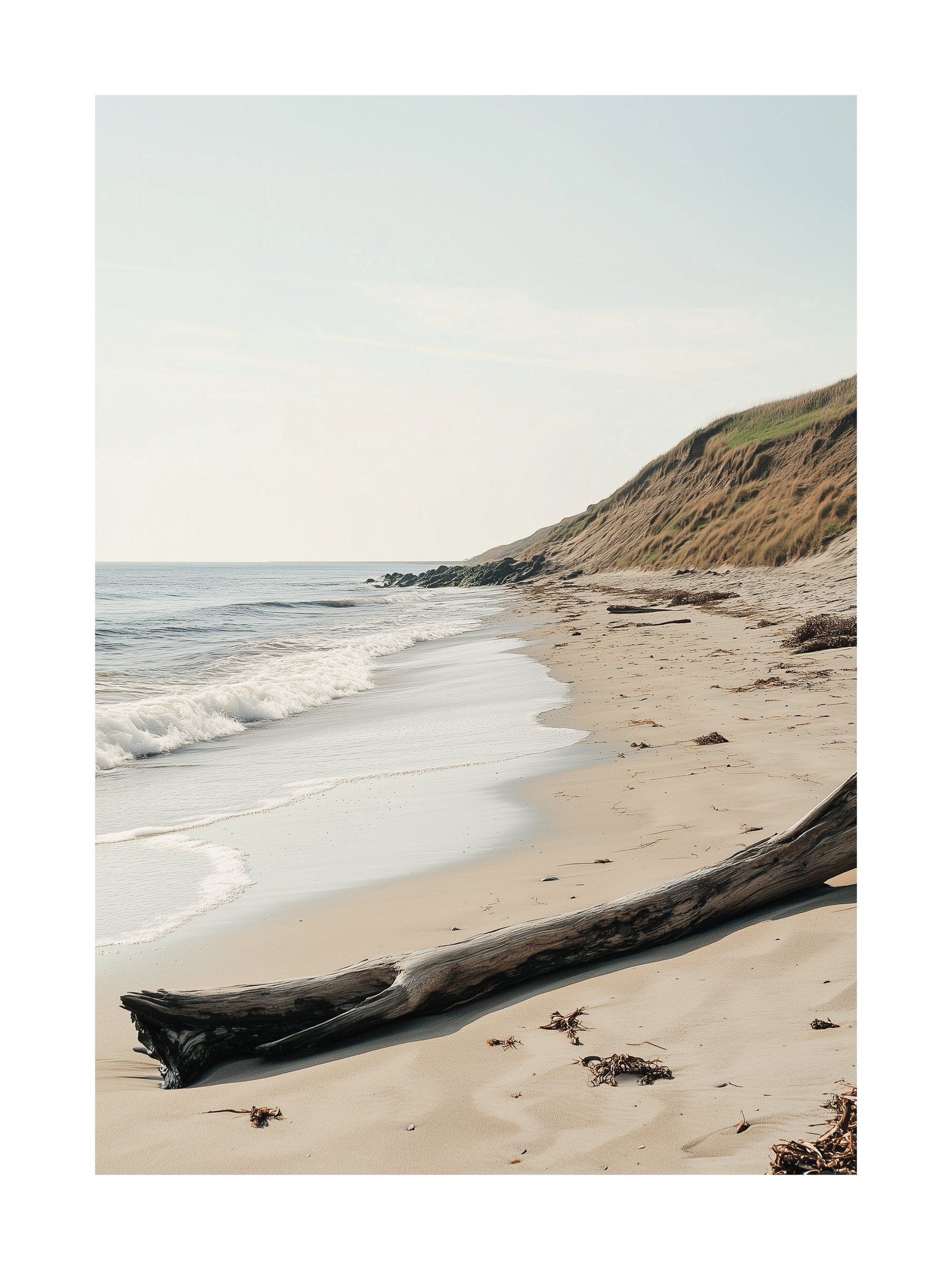 Sandy Cove Shoreline Poster
