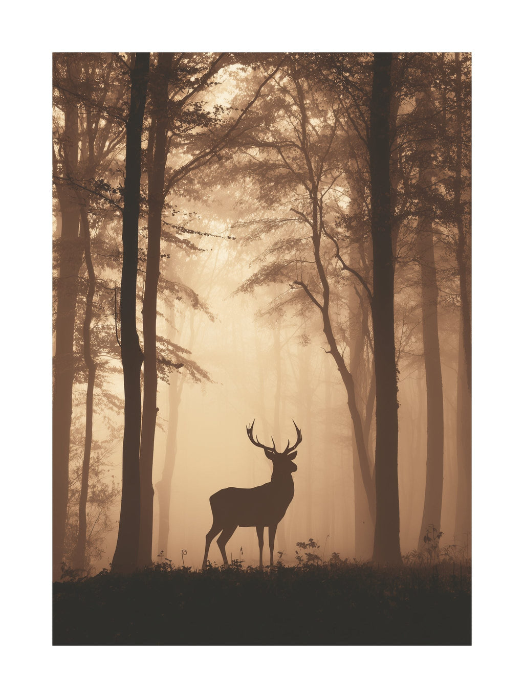 Deer in Autumn Fog Poster