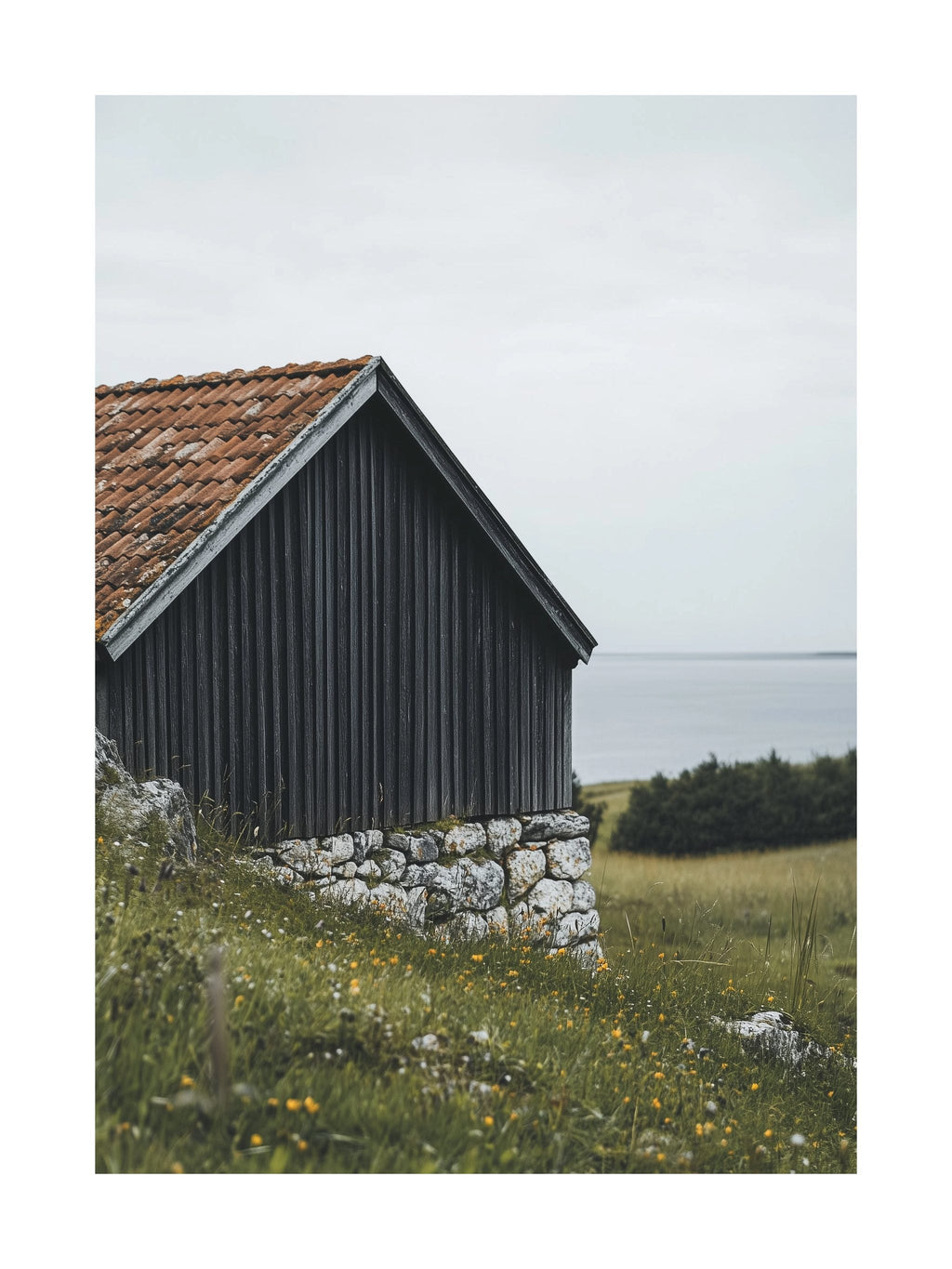 Gotland Coastal Barn Poster