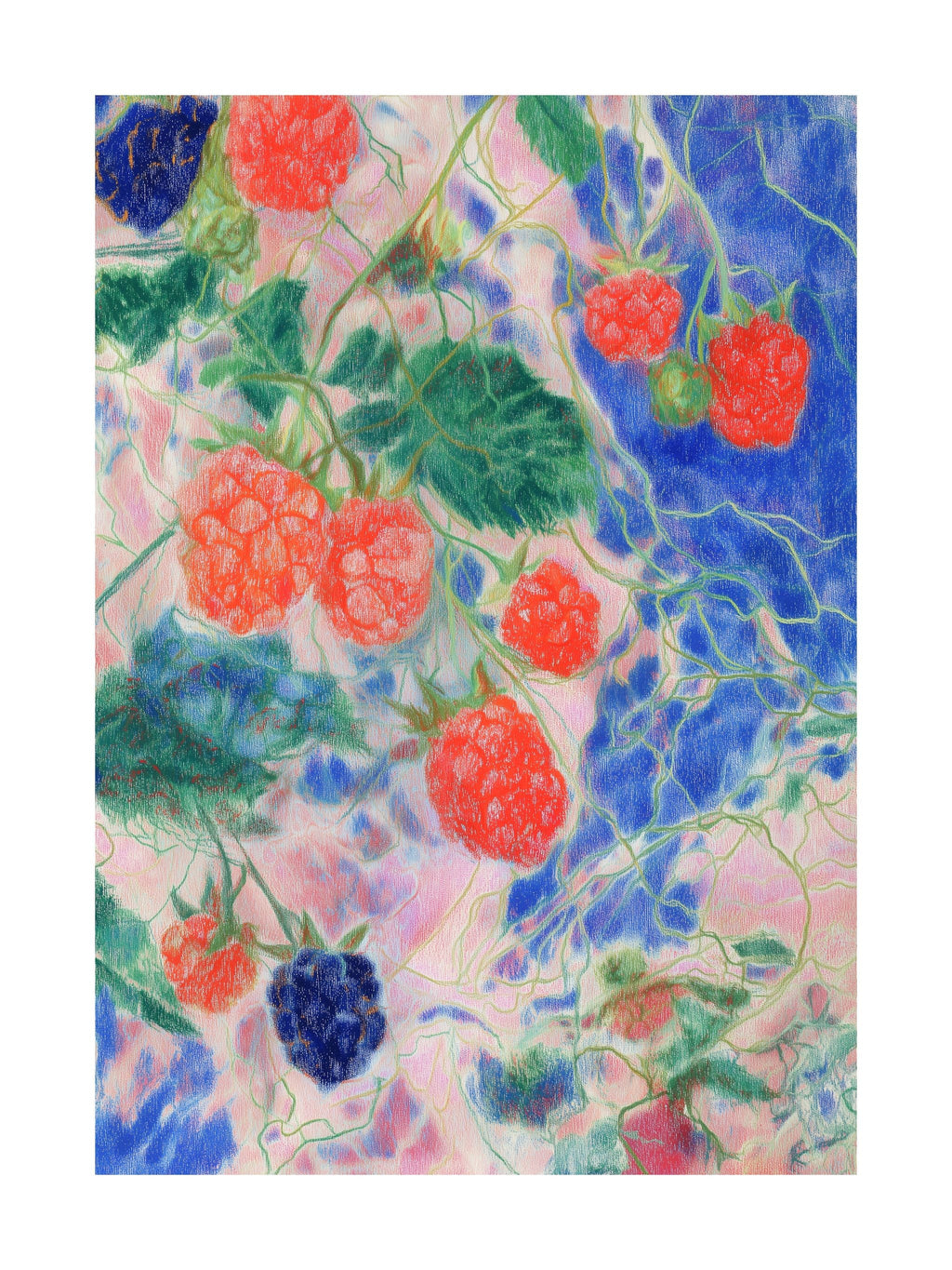 Raspberry Garden Delight Poster