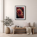 Chrysanthemum Bloom Poster