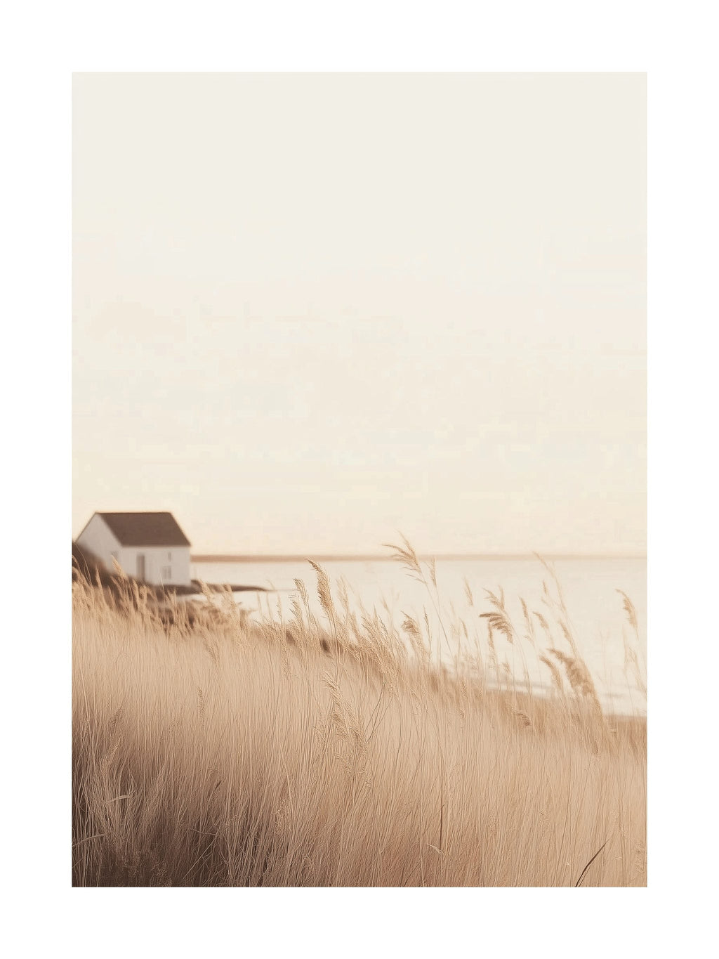 Golden Reeds by the Shore Poster