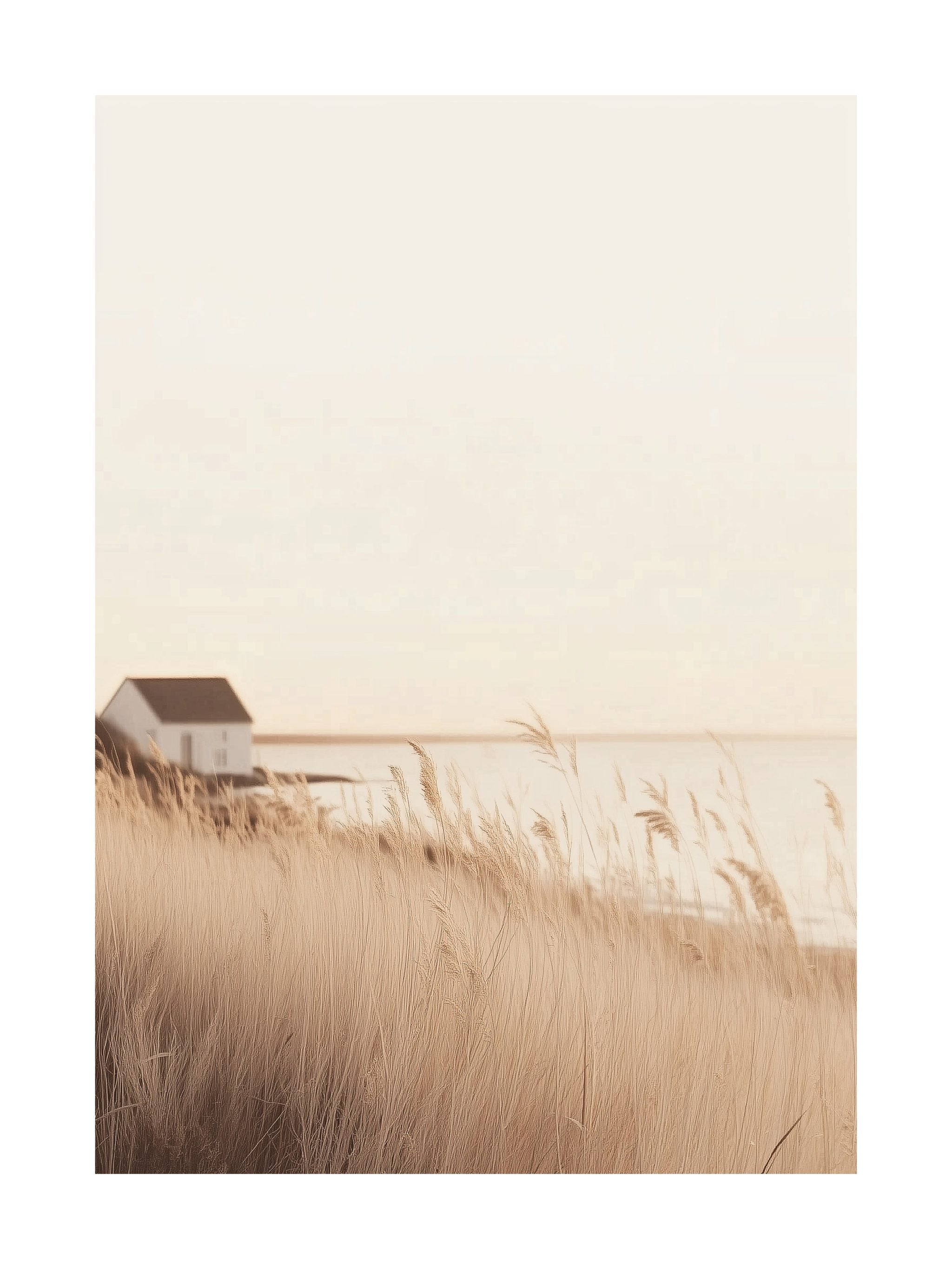 Golden Reeds by the Shore Poster