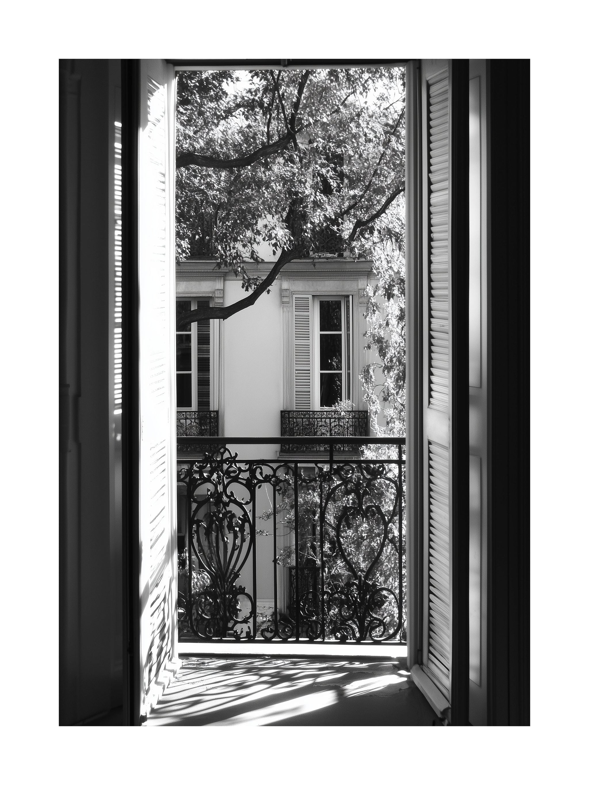 French Window Shadows Poster