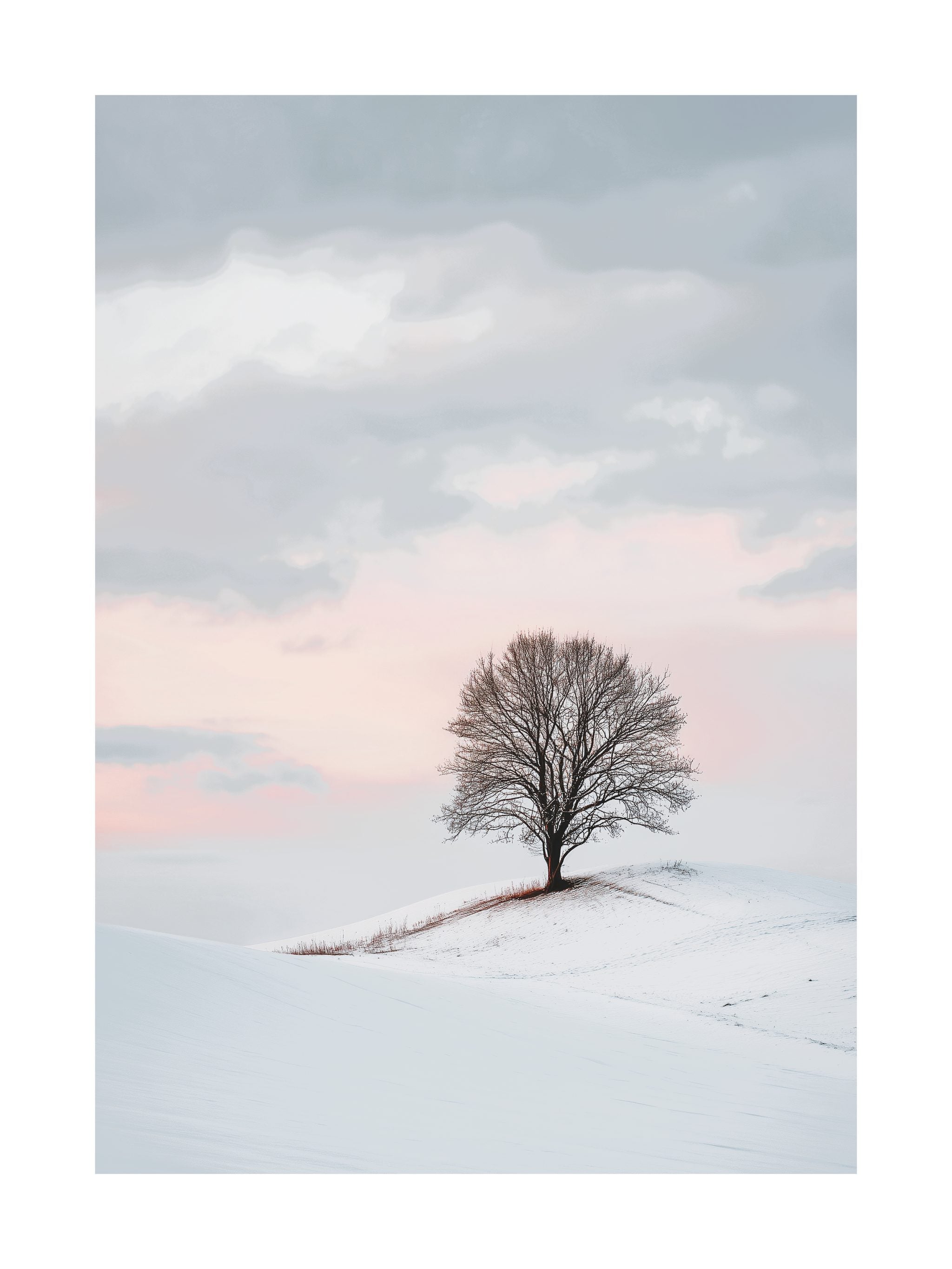 Lone Tree in Winter Poster