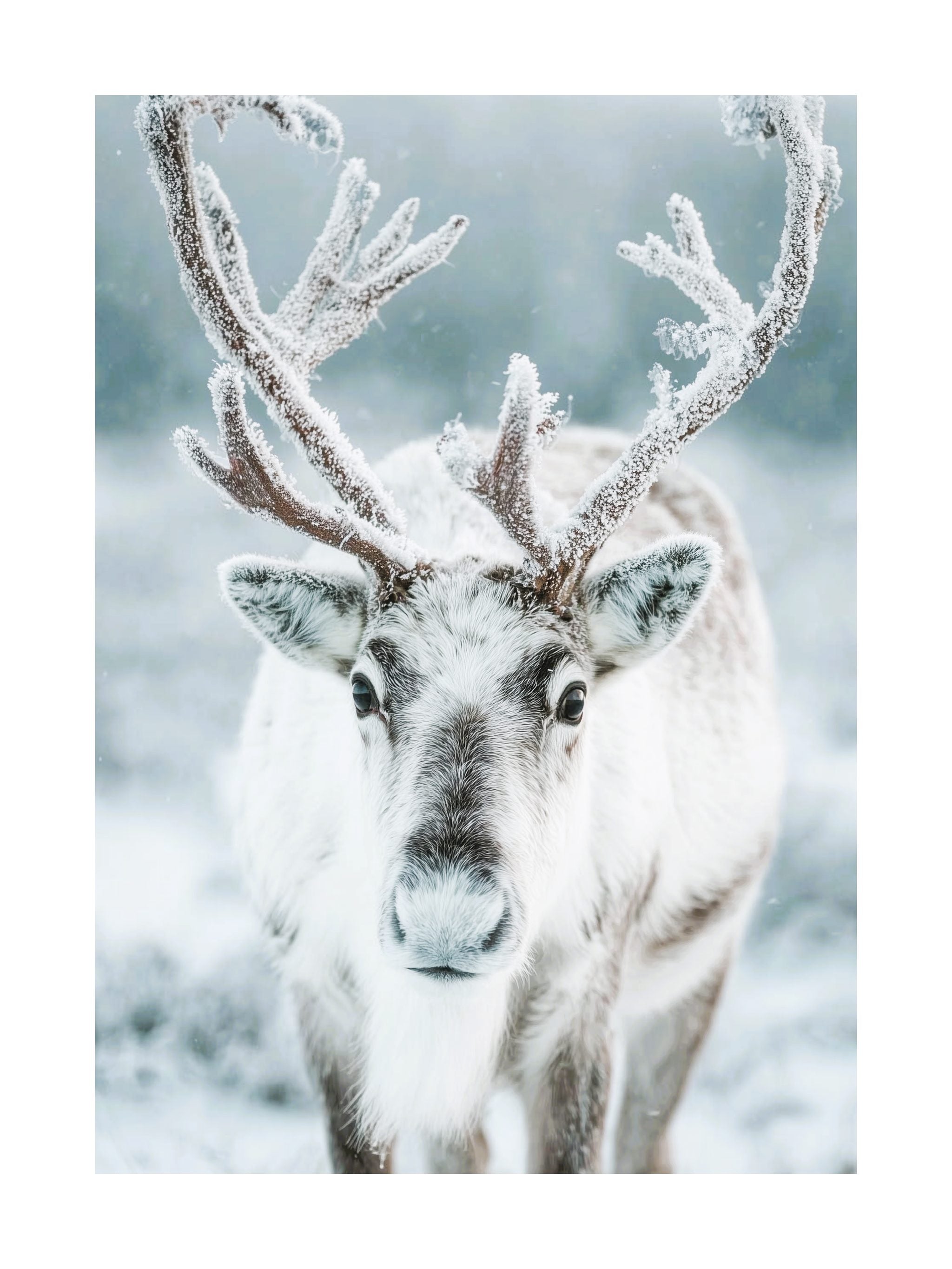 Nordic Reindeer Winter Poster