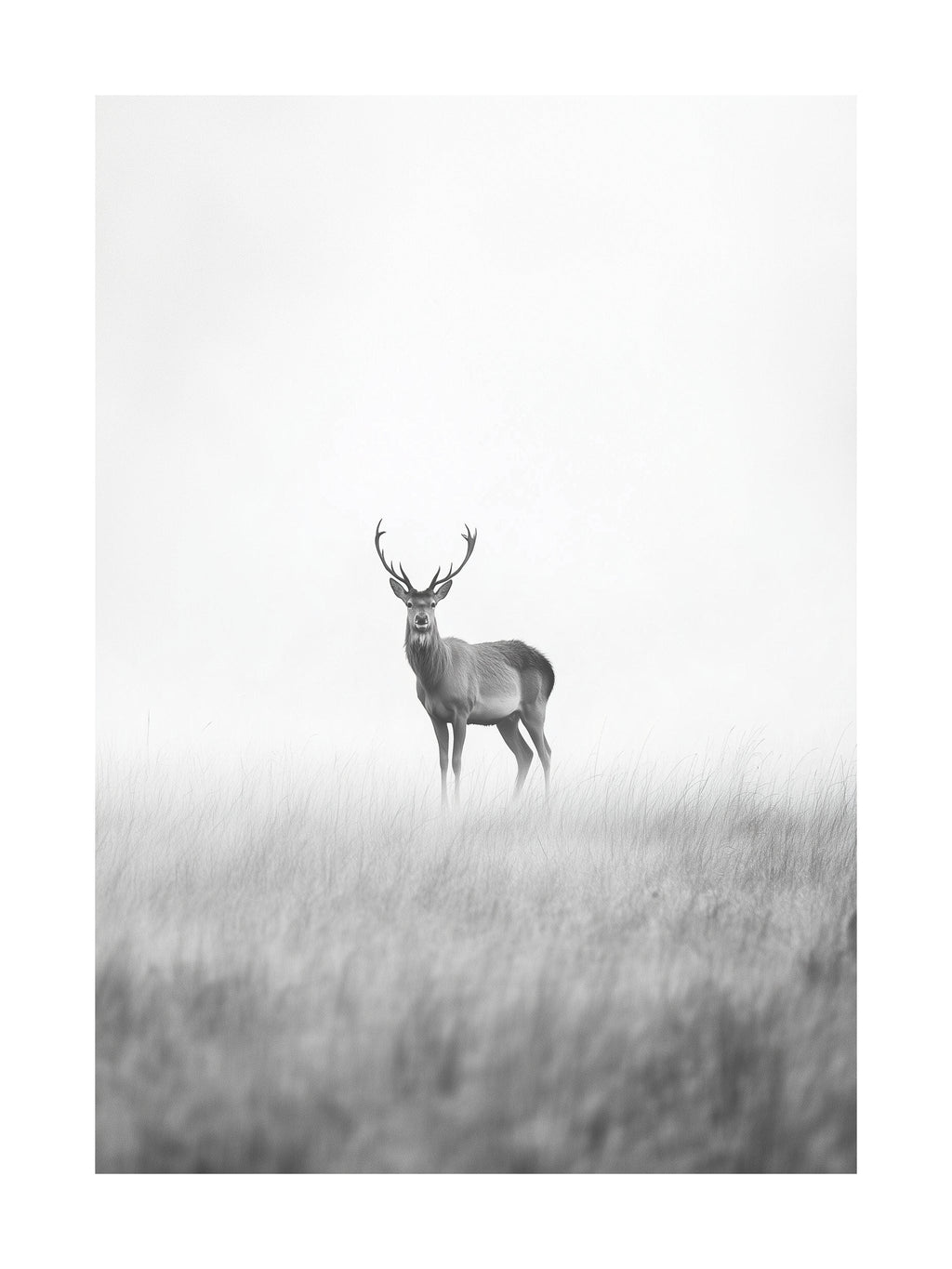 Lone Deer in Mist Poster