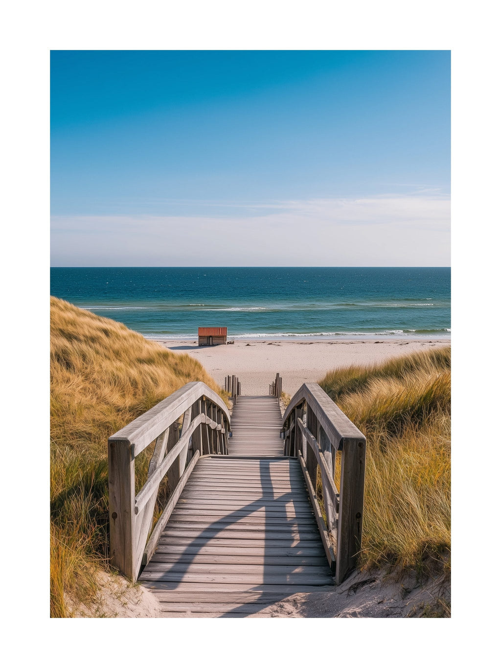 Skagen Beach Walk Poster