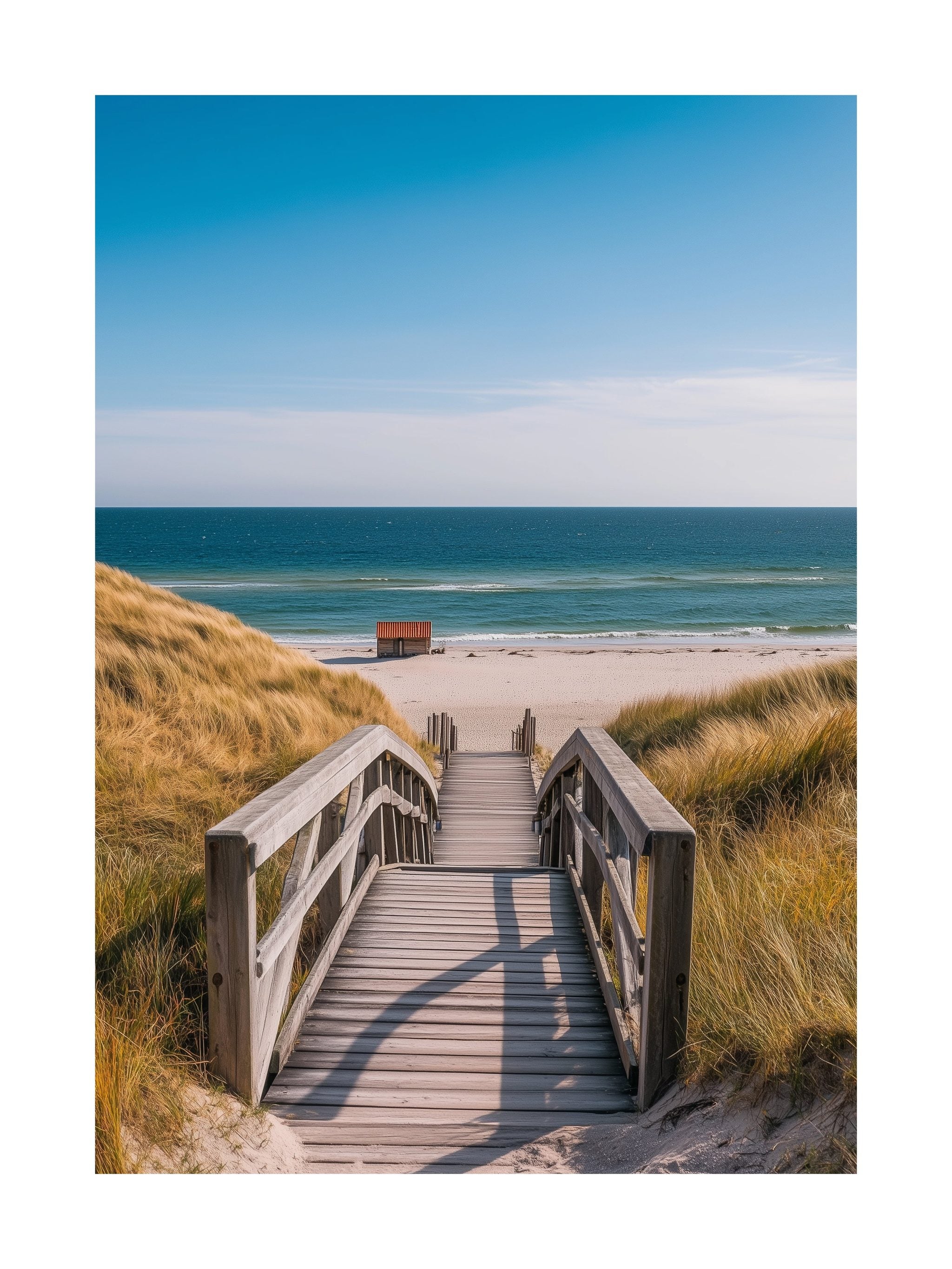 Skagen Beach Walk Poster