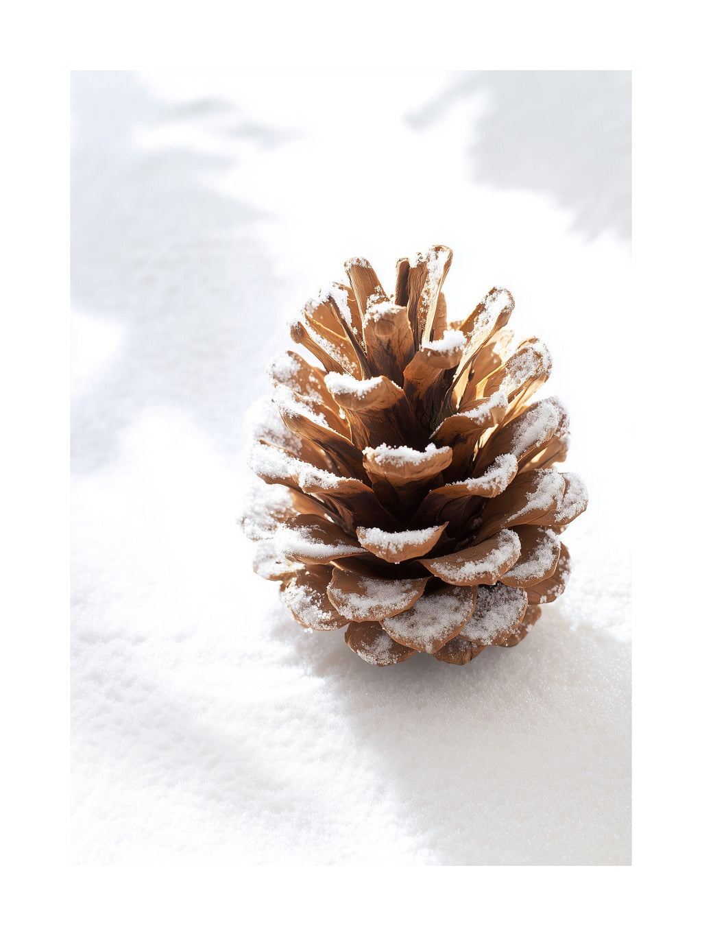 Snow Pinecone Poster