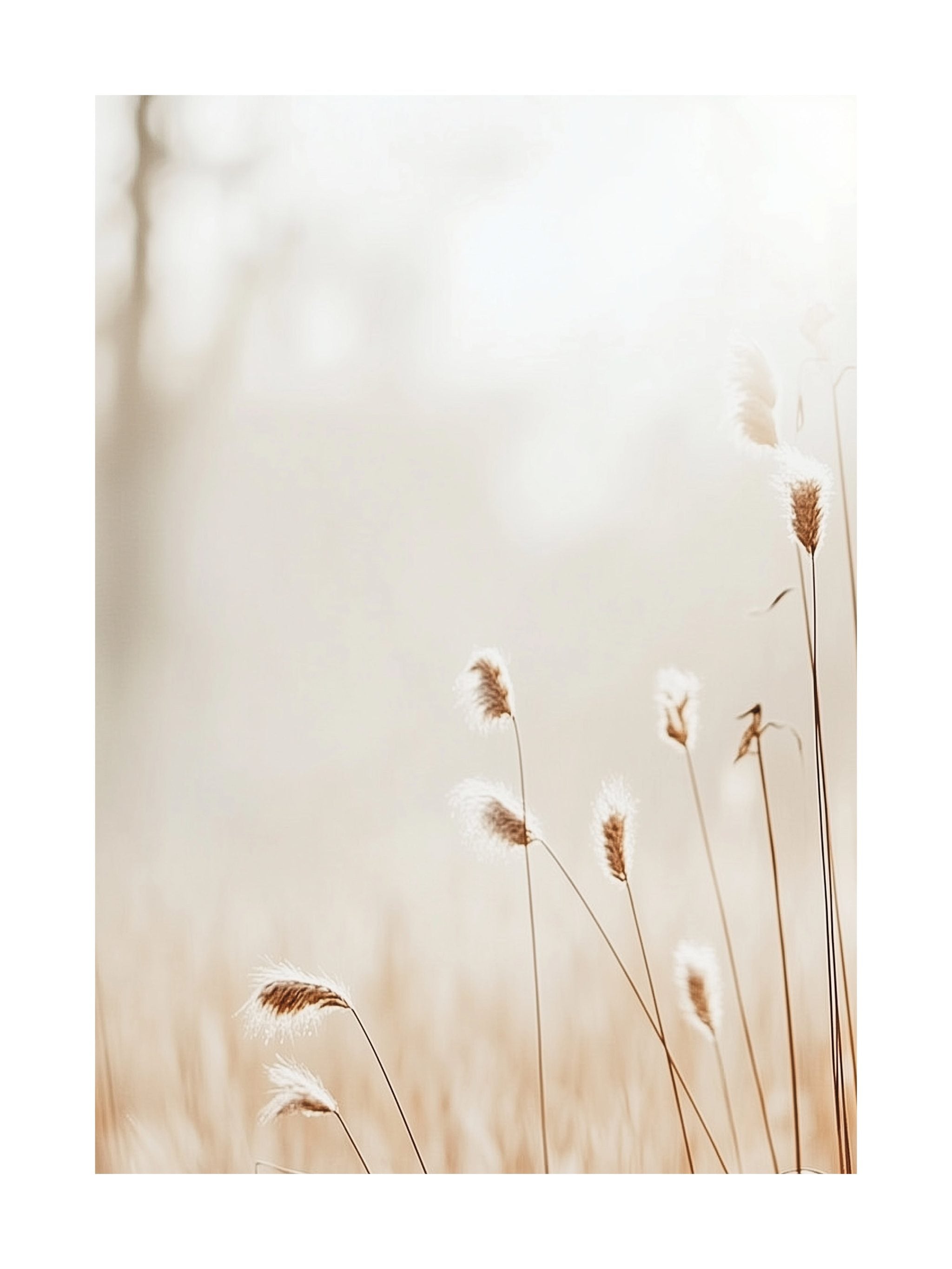 Sunny Reeds Minimalist Poster