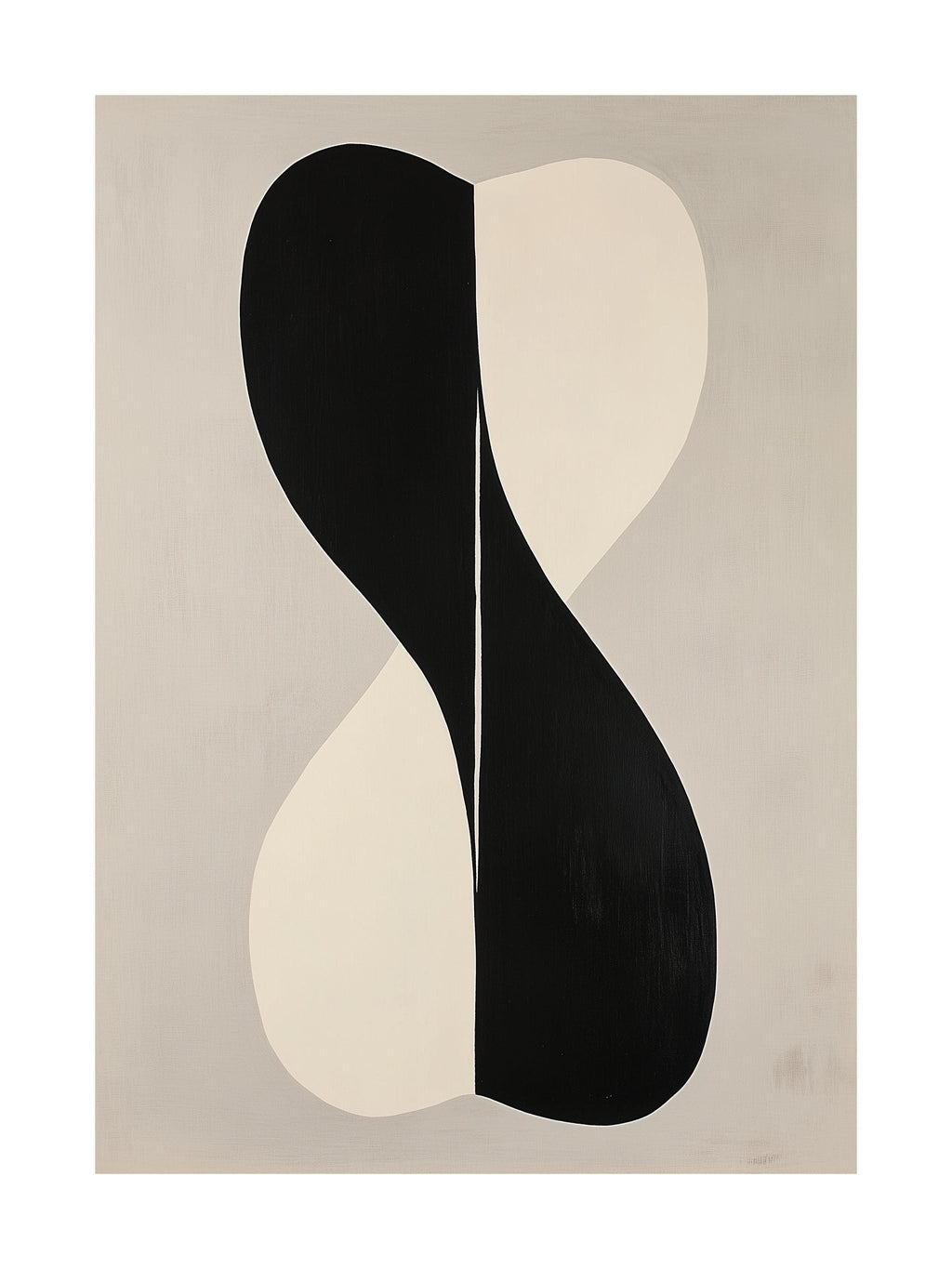 Black & White Duality Poster