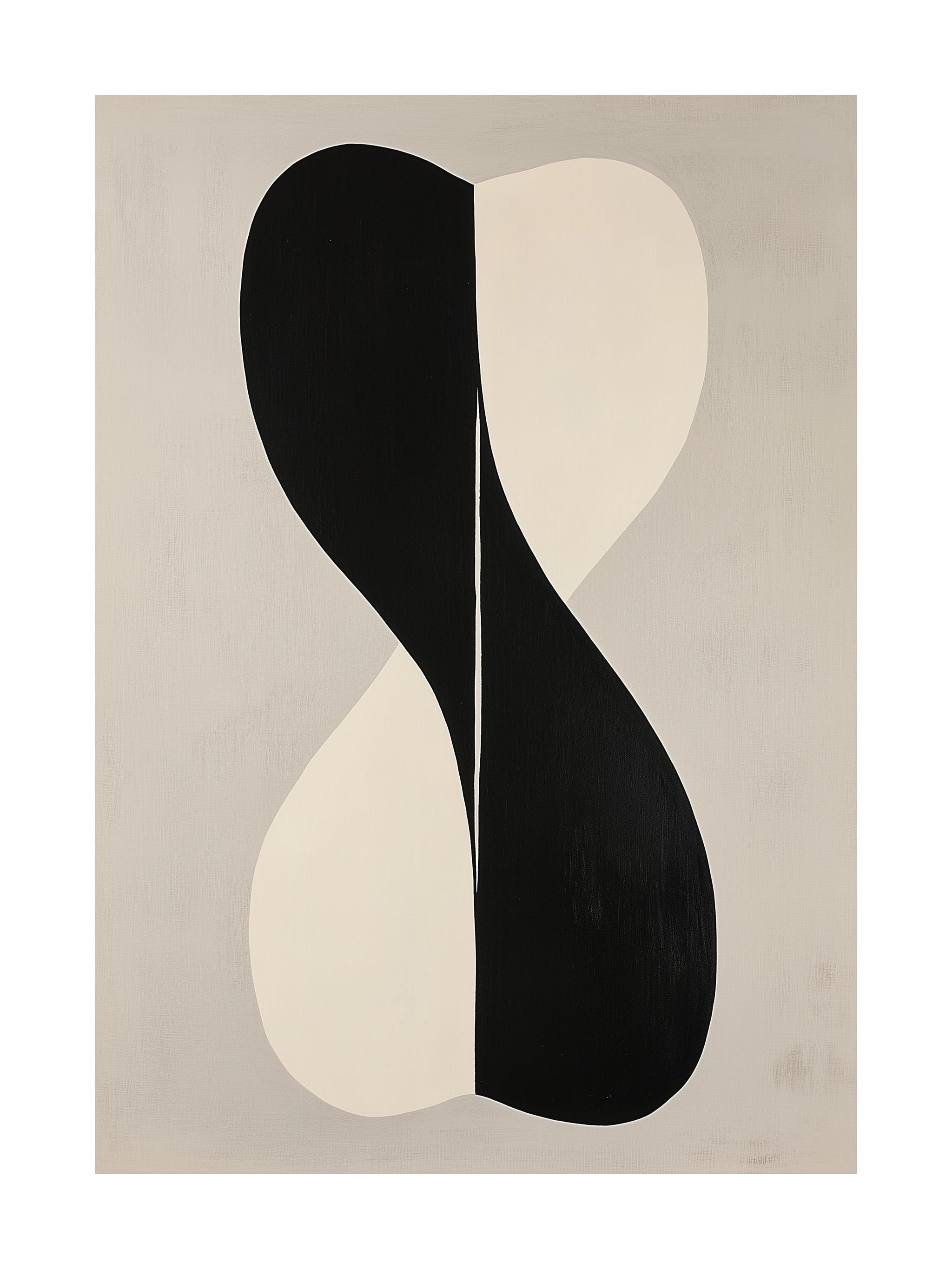 Black & White Duality Poster