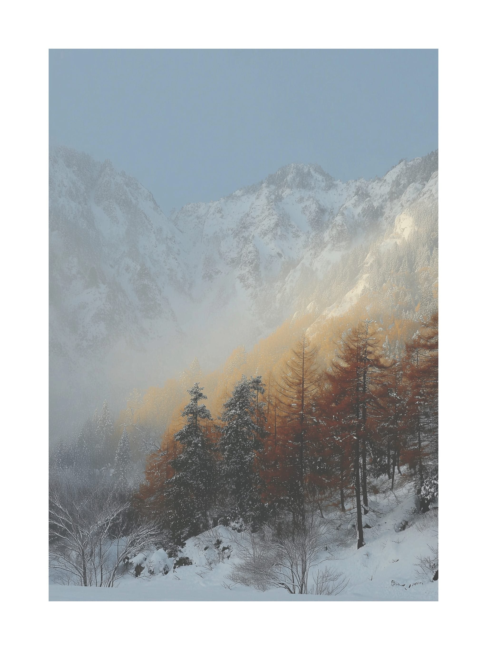 Snowy Forest Mountains Poster