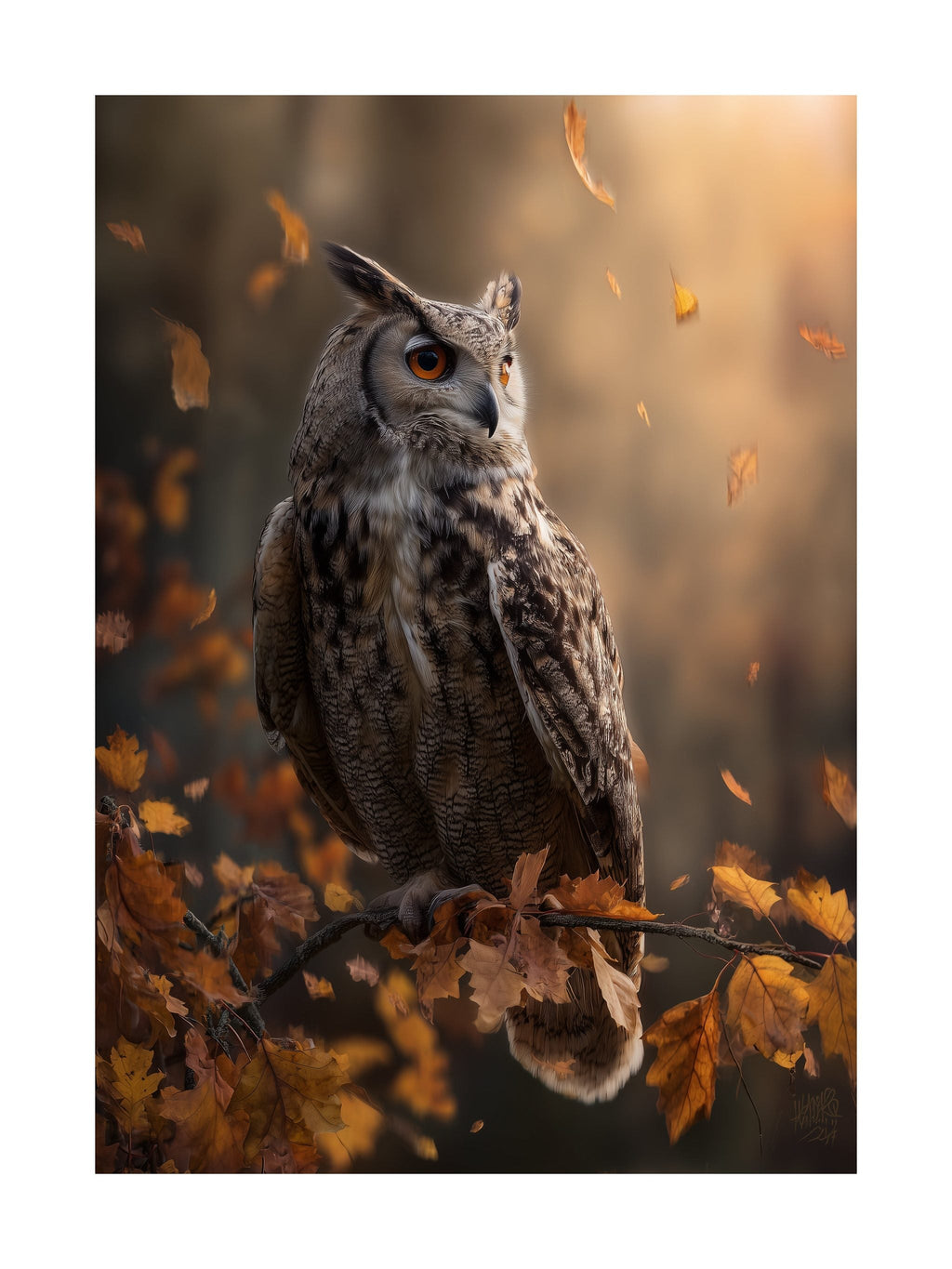 Autumn Owl Poster