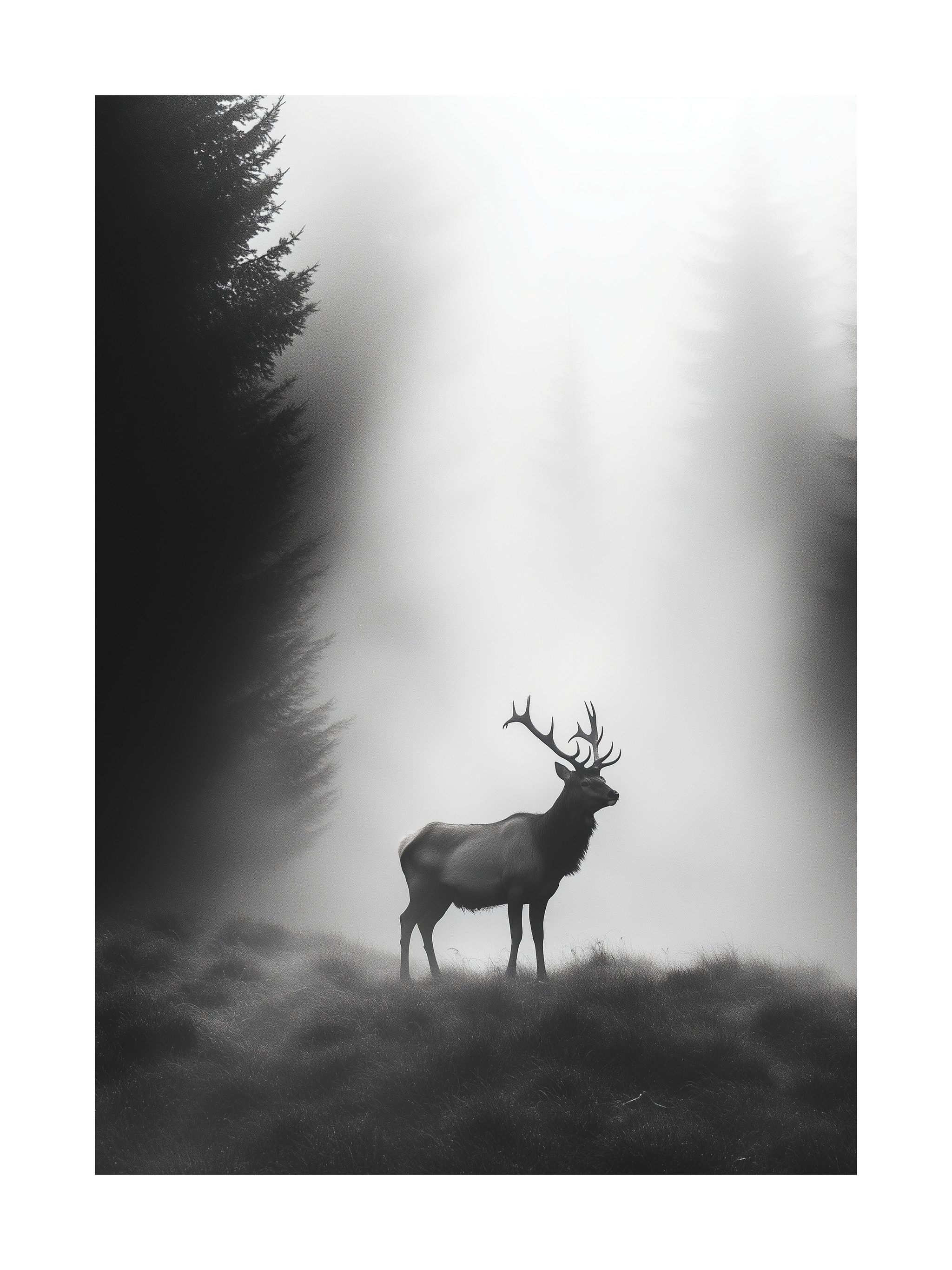 Misty Forest Stag Poster